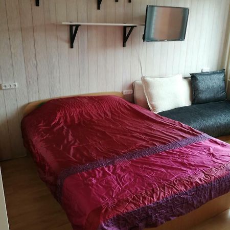 Flat, 1 Room, Study Panevezys Ngoại thất bức ảnh