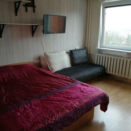 Flat, 1 Room, Study Panevezys Ngoại thất bức ảnh