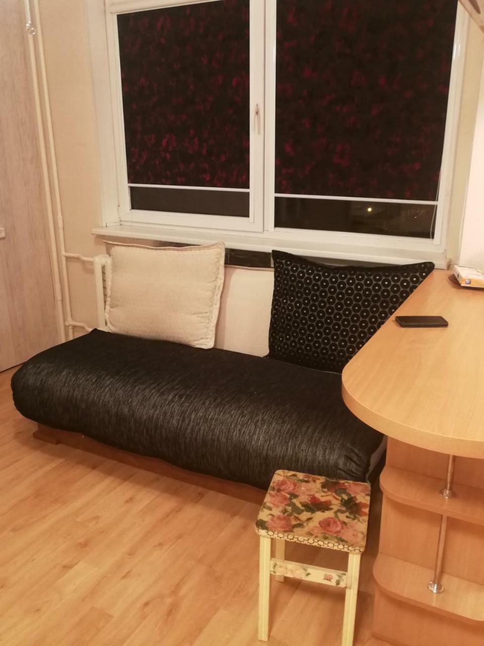 Flat, 1 Room, Study Panevezys Ngoại thất bức ảnh