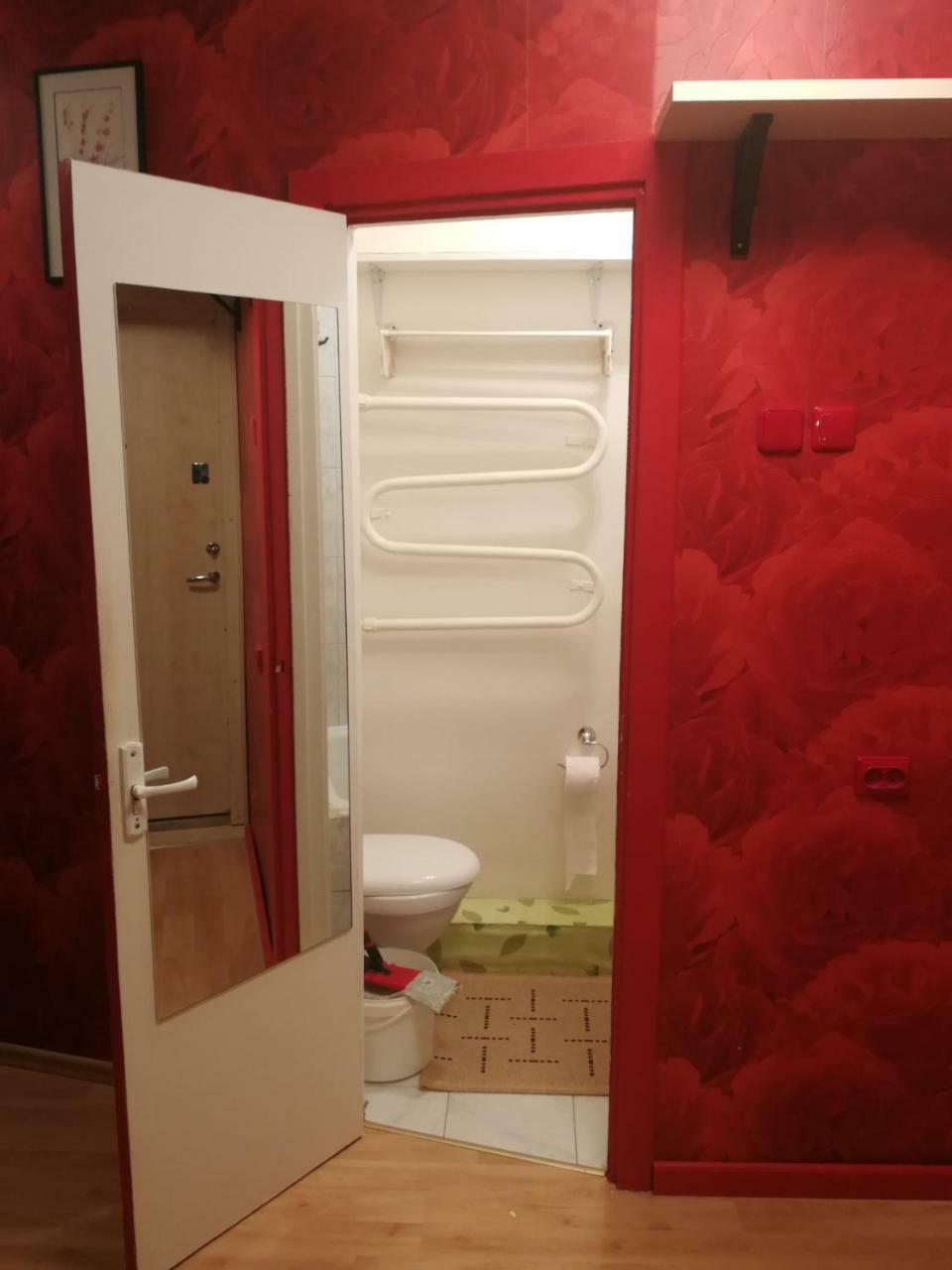 Flat, 1 Room, Study Panevezys Ngoại thất bức ảnh