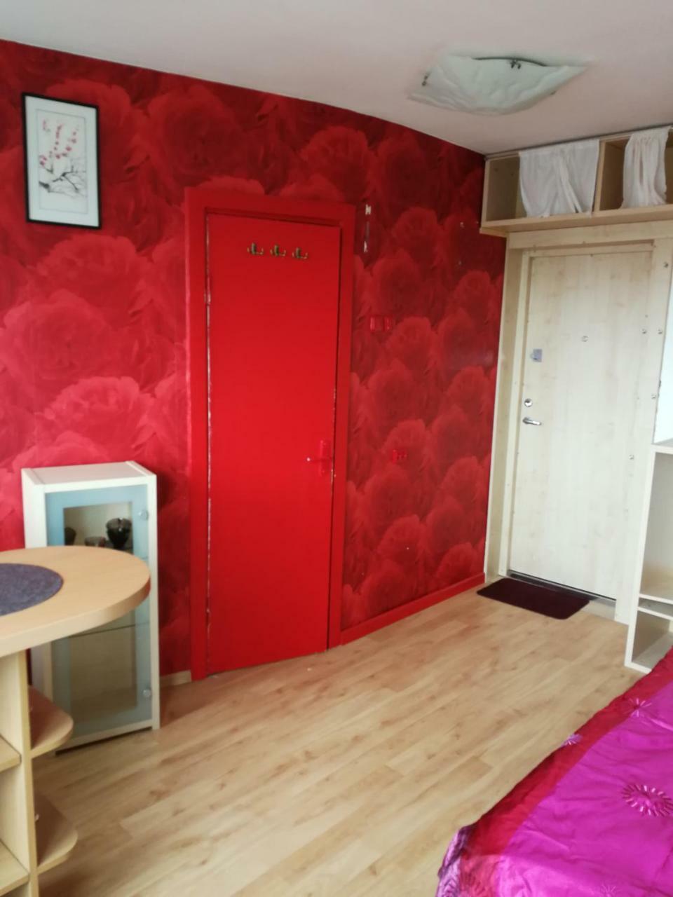 Flat, 1 Room, Study Panevezys Ngoại thất bức ảnh